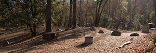 Brandy Creek Primitive Campground
