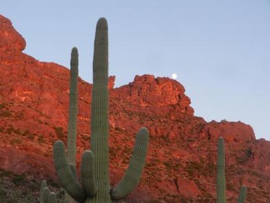 Twin Peaks Campground