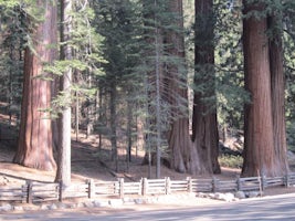 Dorst Creek Campground Sequoia And Kings Canyon National Park