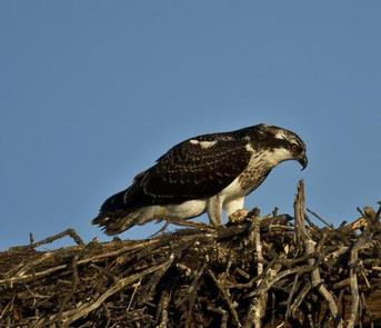 Glory Hole Recreation Area