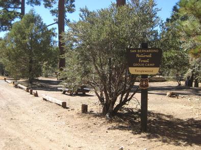 Tanglewood Group Camp