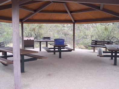 Sabino Canyon Recreation Area Cactus Ramada 2