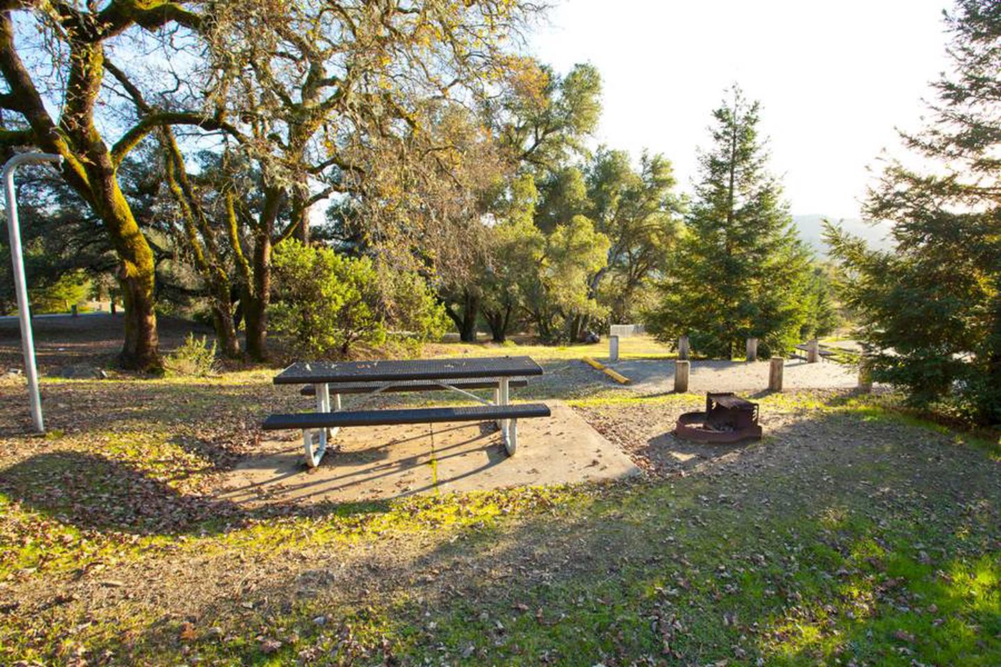 Liberty Glen (Lake Sonoma)