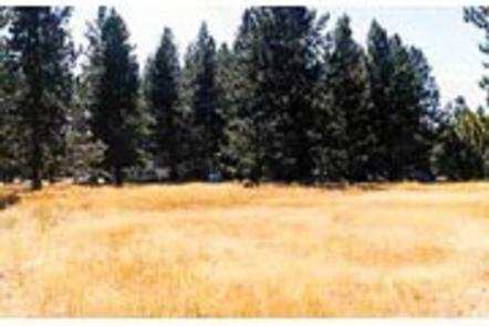 West Eagle Campground