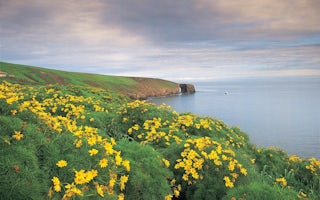 Santa Barbara Island