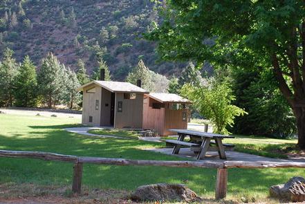 Tree Of Heaven Campground