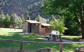 Tree Of Heaven Campground