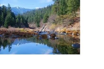 Indian Scotty Group Site