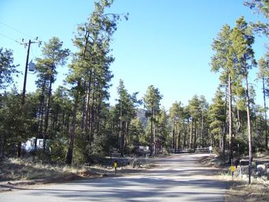 Alto Pit Ohv Campground