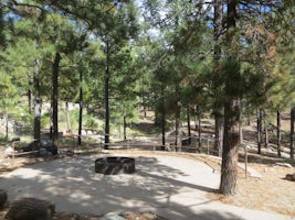 Whitetail Campground