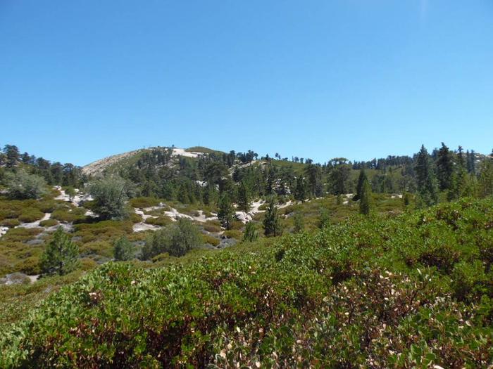 Shady Cove Group Campground