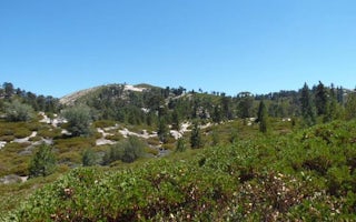 Shady Cove Group Campground