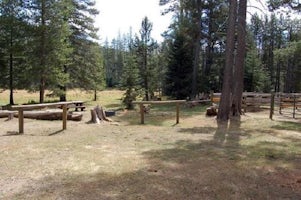 Little Lasier Meadows Campground