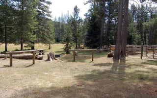 Little Lasier Meadows Campground