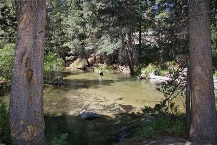Lower Twin Lakes At Bridgeport