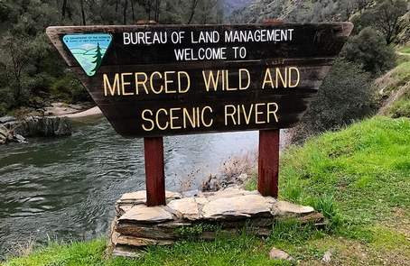 Mc Cabe Flat Campground