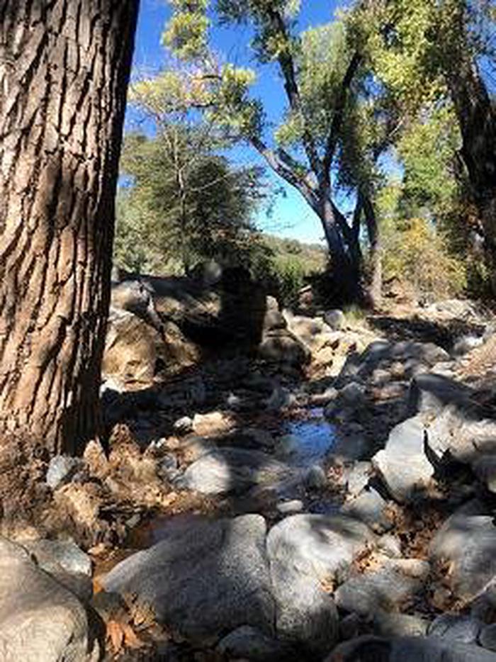 Kellner Group Campground