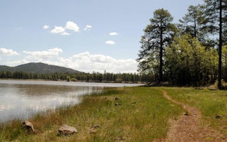 Dogtown Lake Campground And Group