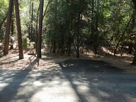 Junction City Campground