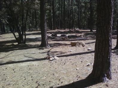 Upper Twilight Group Site