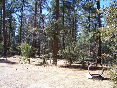 Groom Creek Horse Camp