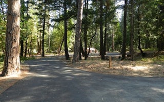 Douglas City Campground