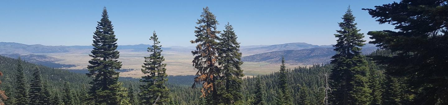 Yuba Pass Campground