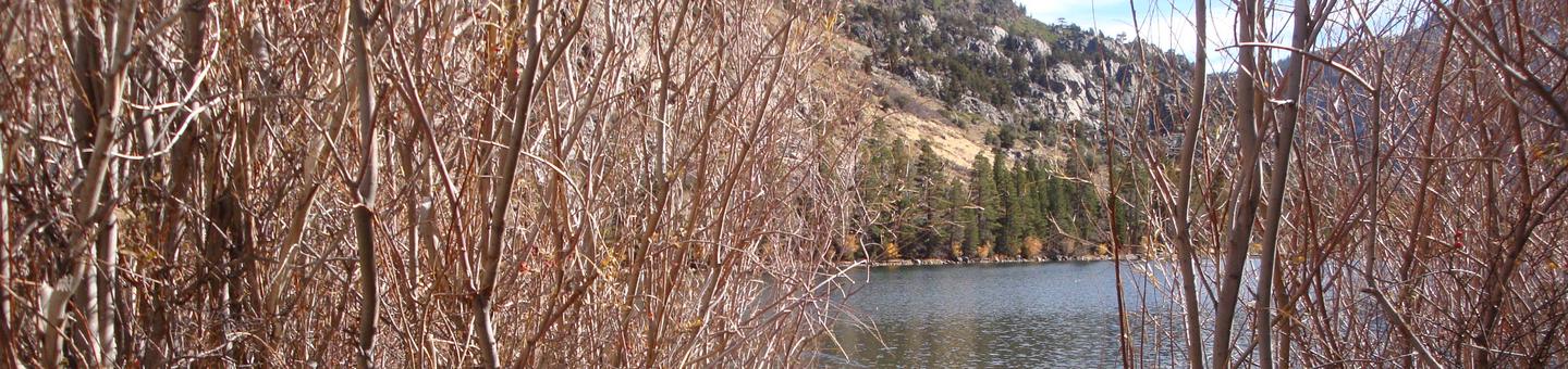 Silver Lake Campground June Lake (Ca