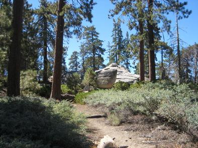 Bluff Mesa Group Camp