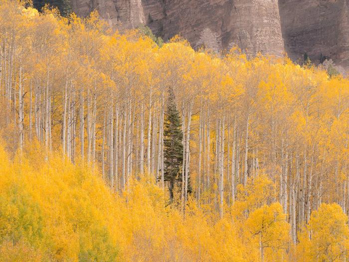 Lodging at Jumbo Campground in Mesa County, Colorado
