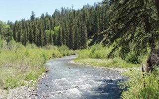 Blanco River Group Campground