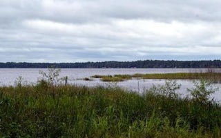 Group Landing