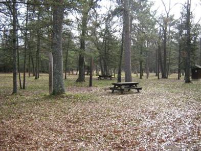 Lodging at South Branch Trail Camp Group Site in South Branch, Michigan