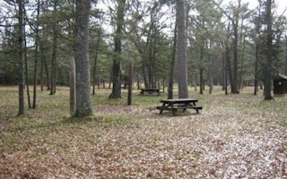 South Branch Trail Camp Group Site