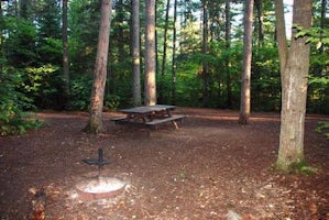 Sawbill Lake Campground   Superior National Forest