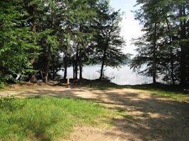 Bass Lake Dispersed Campsite