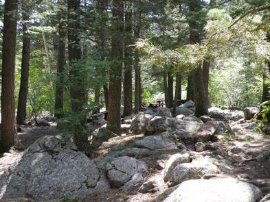 Spruce Group   Lake Isabel