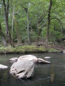 Rock Creek Park Group Picnic Areas