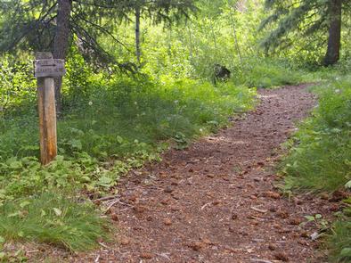 Wood River Group Overnight Area (Tent Only)