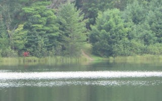 Lake Nineteen Dispersed Campsite