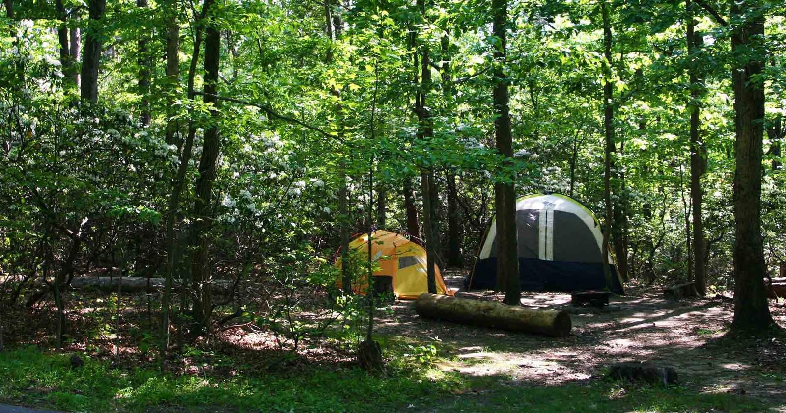 Greenbelt Campground
