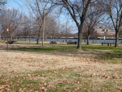 Hains Point Picnic Area (East Potomac Park)