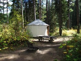 Whitetail Yurt