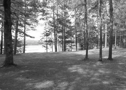 Manistique   Rapid River Dispersed Campsites