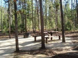 Boundary Creek Campground