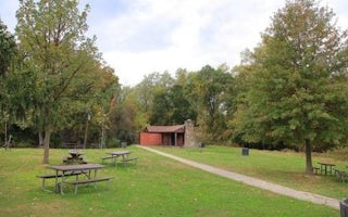 Fort Dupont Park Picnic Areas
