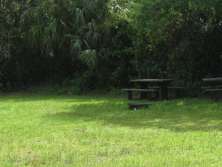 Pinecrest Group Campground