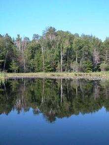 Widewaters Campground