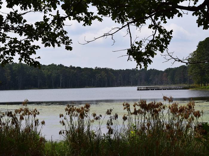 Pinewoods Lake Rec Area