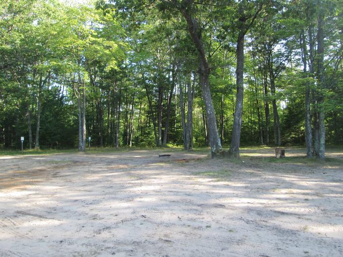 Gooseneck Lake Dispersed Campsite